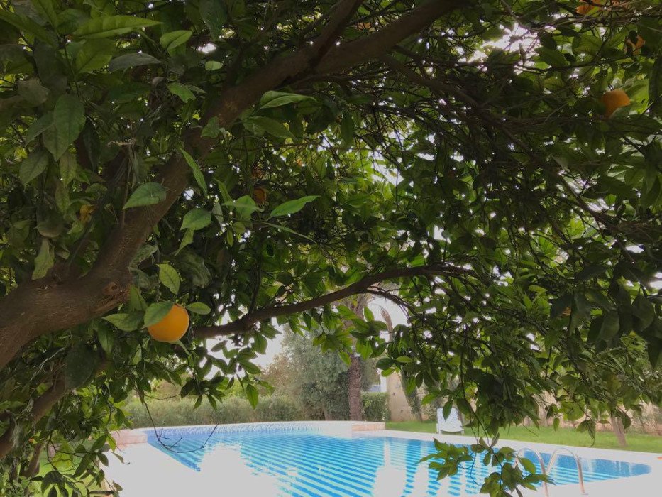 Villa Agadir